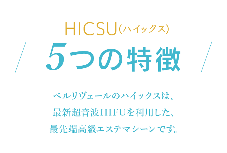 HICSU(ハイックス)5つの特徴